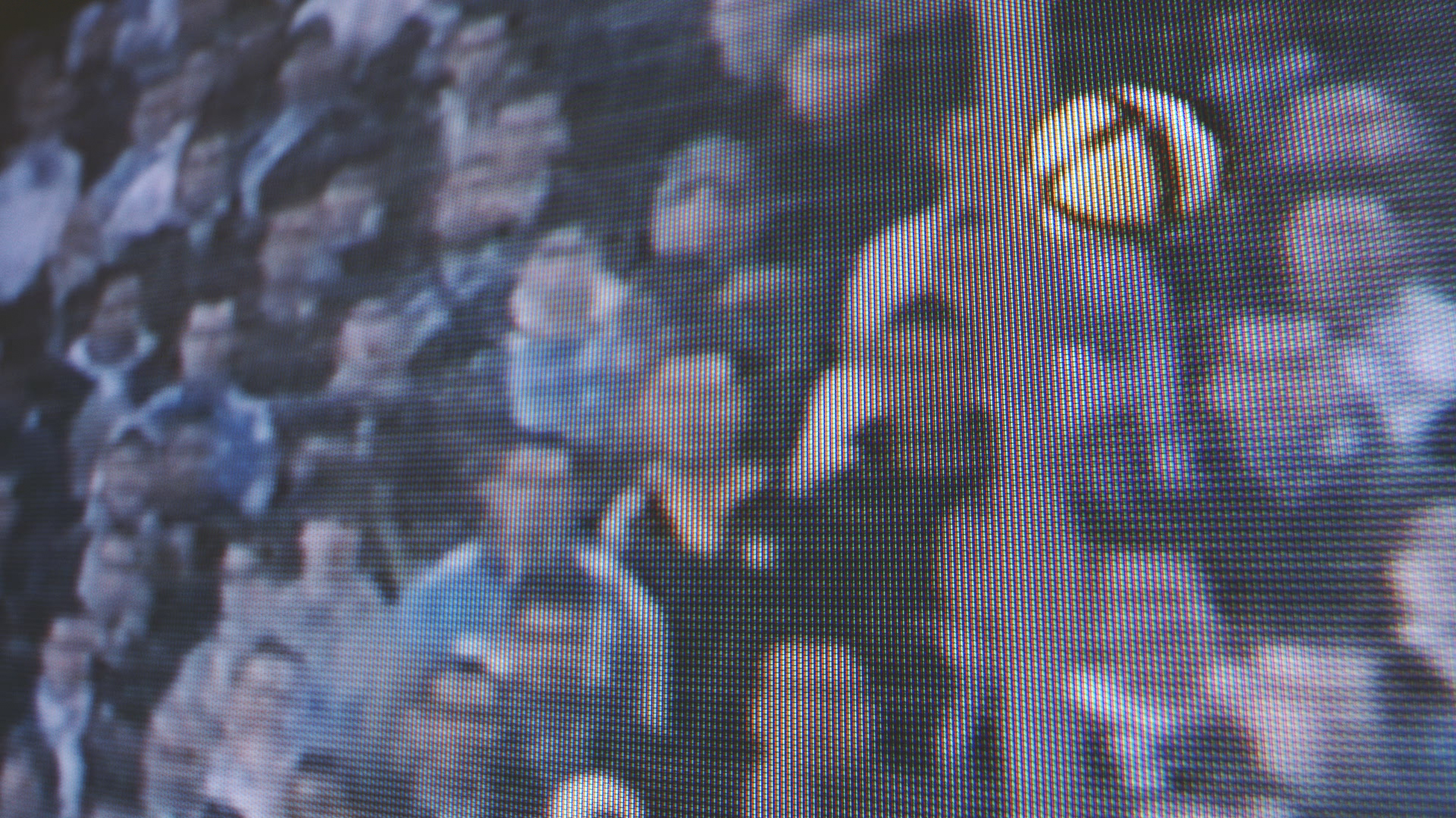 losc___clip_saison_18-19-(1-00-38-24)_lr